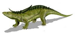 Desmatosucus