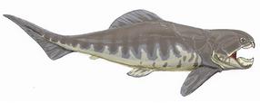 Dunkleosteus