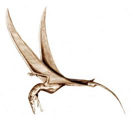 Eudimorfodones
